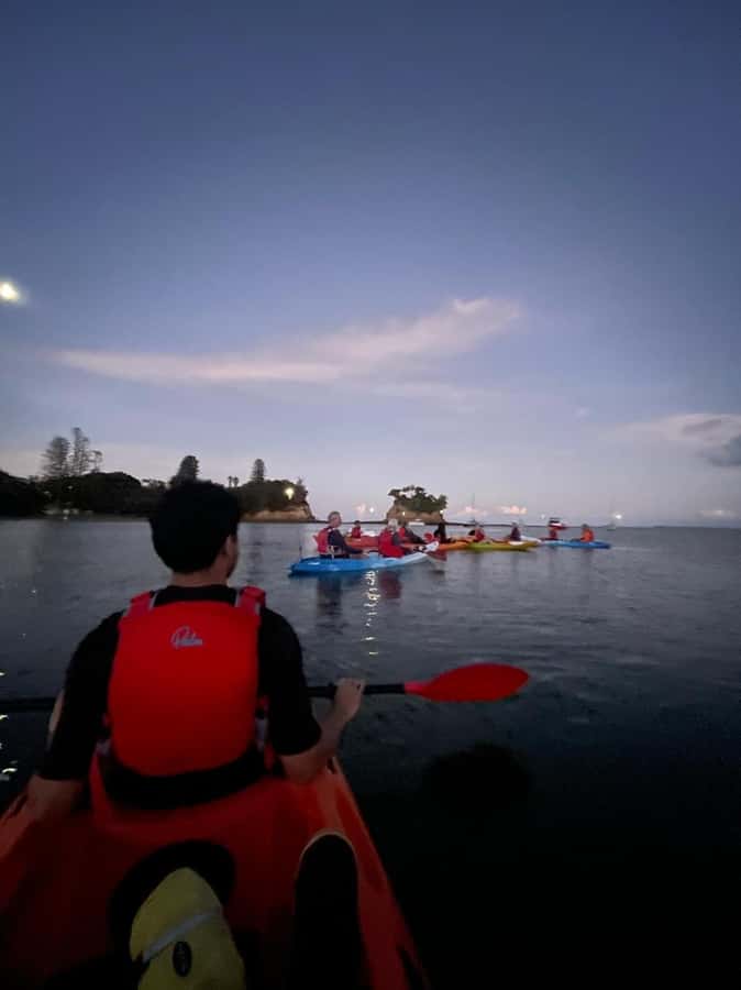 Auckland: Bioluminescence Kayak Tour with Guide - Getting There Without Stress: Transport and Timing