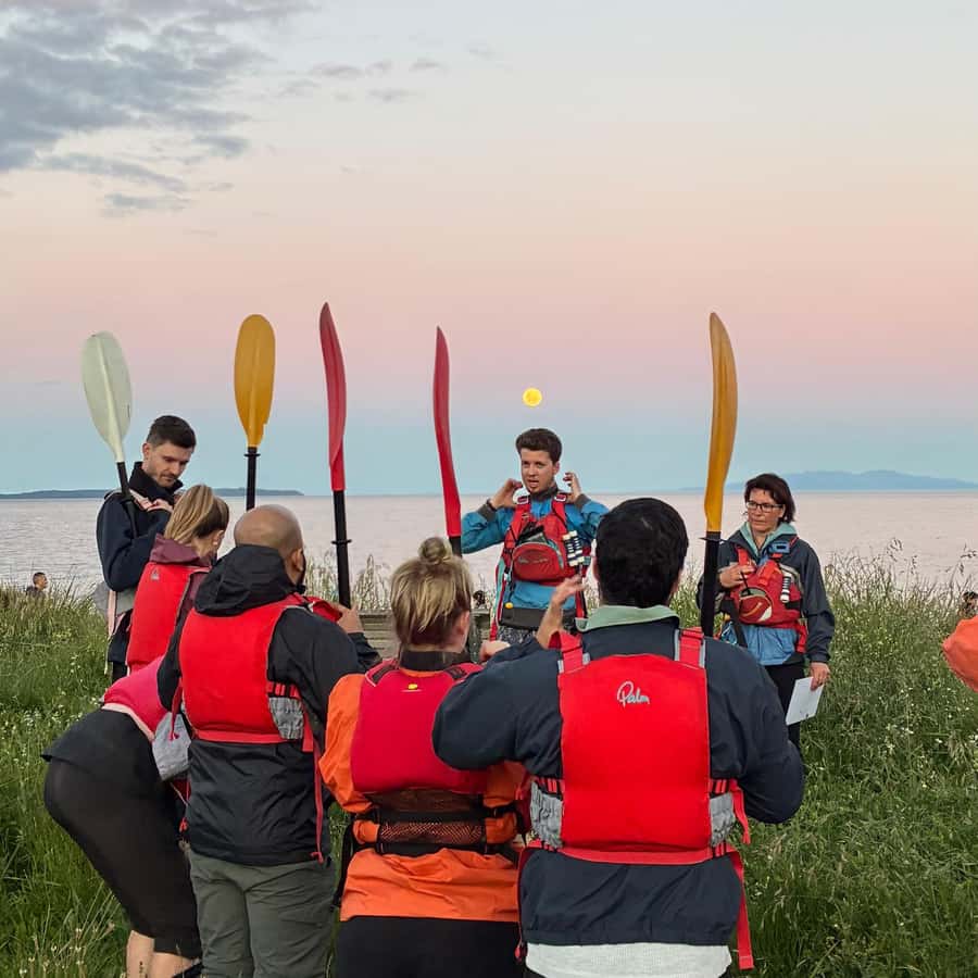 Auckland: Bioluminescence Kayak Tour with Guide - Who This Tour Suits Best (And Who Should Skip It)