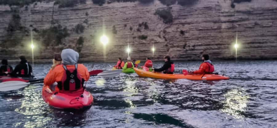 Auckland: Bioluminescence Kayak Tour with Guide - The Bottom Line: Should You Book This Bioluminescence Kayak Tour?