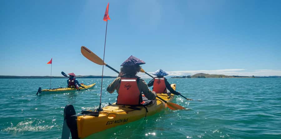 Auckland: Browns Island (Motukorea) Sea Kayak Tour - Key points before you go