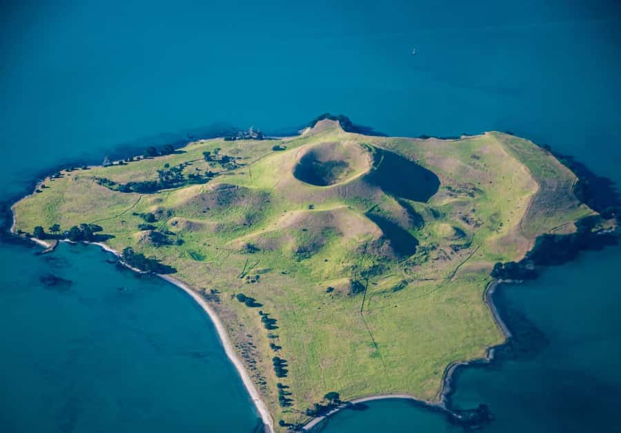 Auckland: Browns Island (Motukorea) Sea Kayak Tour - What you’ll learn on Motukorea (and why it matters)