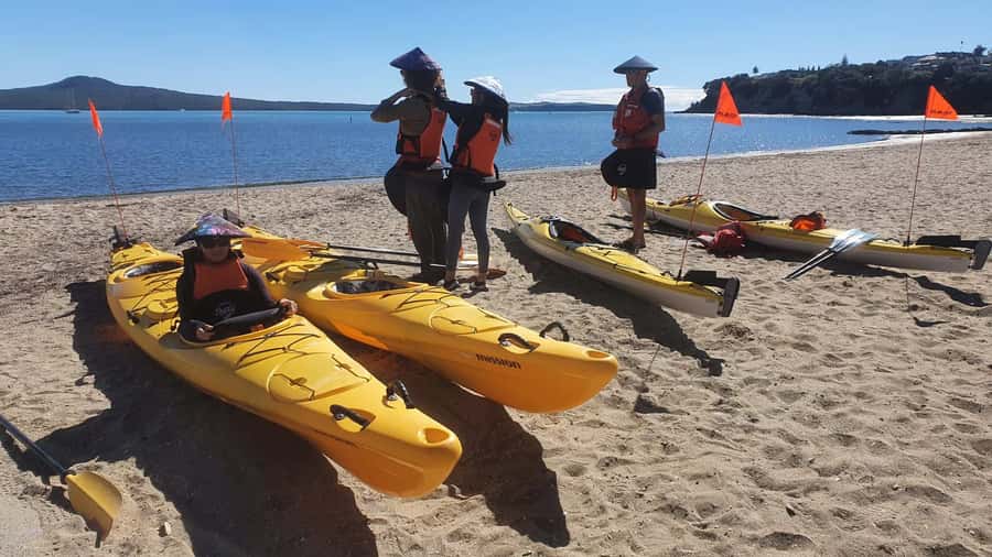 Auckland: Browns Island (Motukorea) Sea Kayak Tour - Price and value: is $89 worth it?