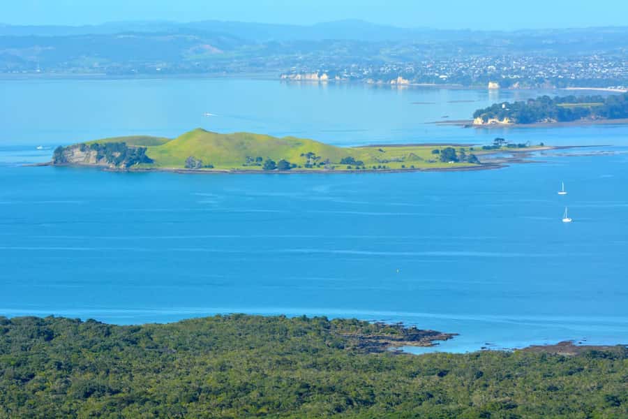 Auckland: Browns Island (Motukorea) Sea Kayak Tour - Who this tour suits best