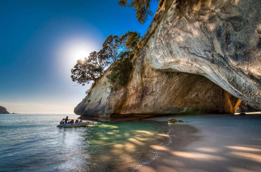 Auckland: Cathedral Cove and Coromandel Small Group Tours - Key Things That Make This Coromandel Day Work