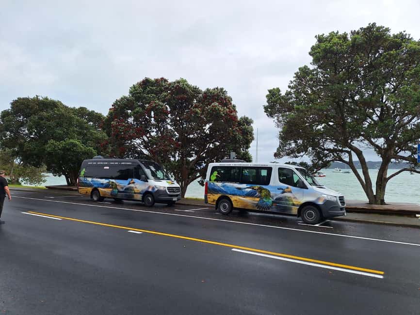 Auckland: Cathedral Cove and Coromandel Small Group Tours - Auckland To Coromandel: The Drive Sets The Tone