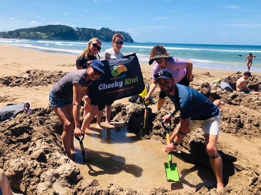 Auckland: Cathedral Cove and Coromandel Small Group Tours - Small-Group Comfort: How This Tour Keeps It Relaxed