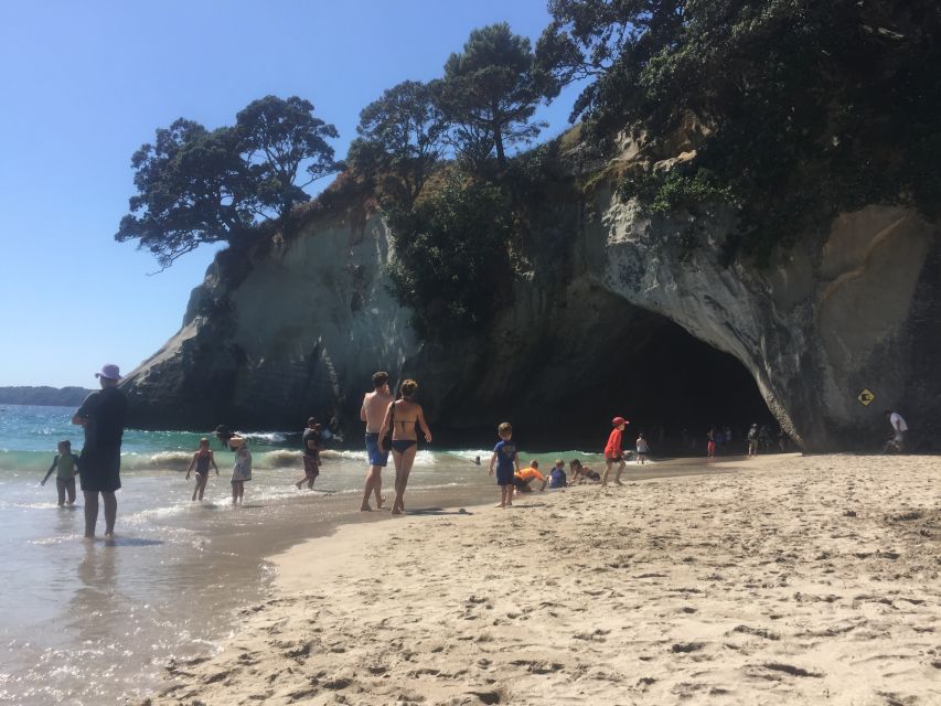 Auckland: Cathedral Cove and Coromandel Small Group Tours - Price And Value: Is $155 Worth It?