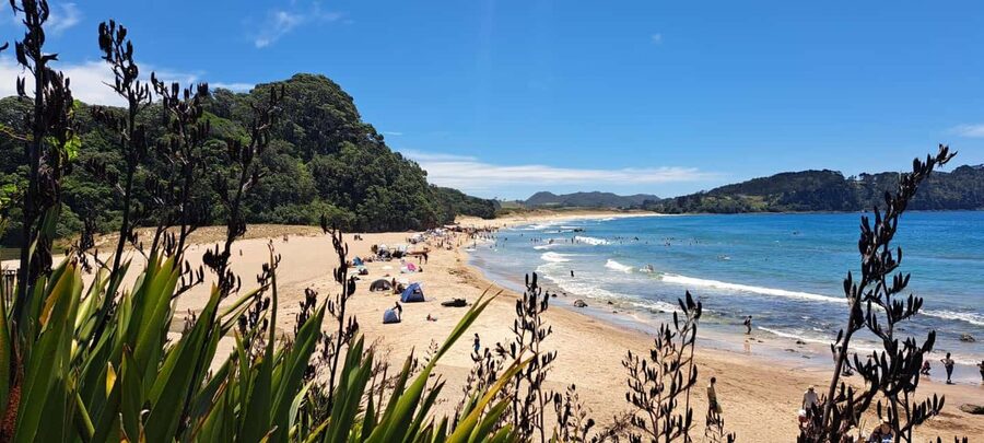 Auckland: Cathedral Cove and Coromandel Small Group Tours - Who Should Book (And Who Should Skip It)?