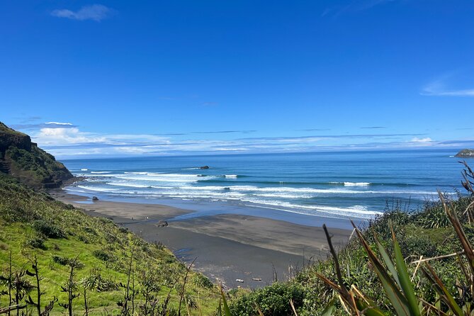 Auckland City and West Coast Black Sand Beach Full Day Tour - Key Things I’d Plan Around