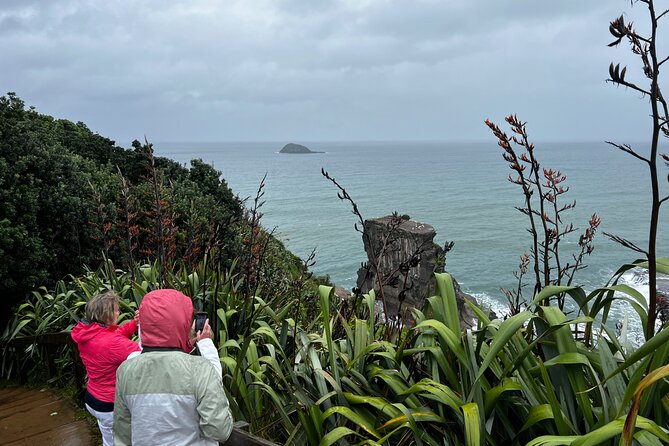 Auckland City and West Coast Black Sand Beach Full Day Tour - Why This West Coast Day Feels Different Than a Typical Auckland Tour