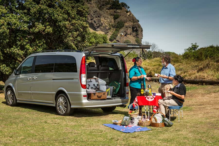 Auckland City and West Coast Luxury Tour - West Coast Black Sand and Subtropical Wildness