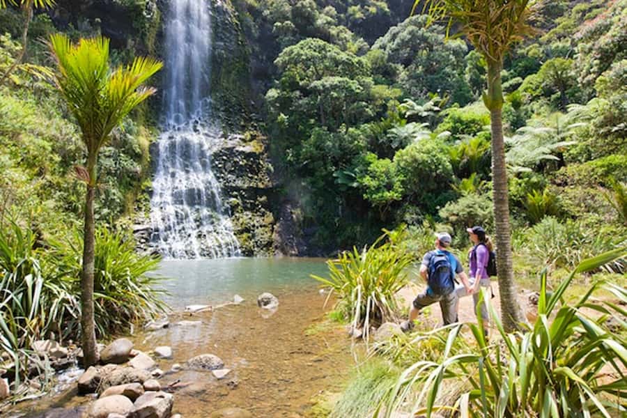 Auckland City and West Coast Luxury Tour - The Role of the Guide: Māori Culture That Feels Real