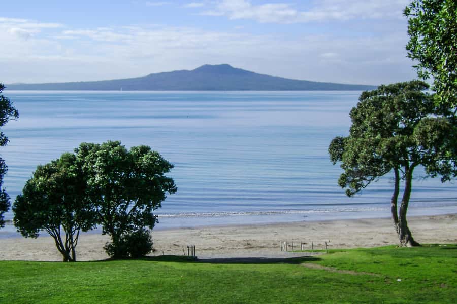 Auckland City, Beaches & Rainforest Premium Small Group Tour - Key things I’d circle on your itinerary