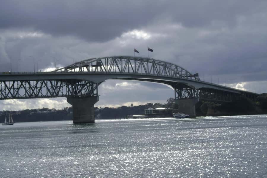 Auckland City, Beaches & Rainforest Premium Small Group Tour - Why the Harbour Bridge and Domain are more than photo stops