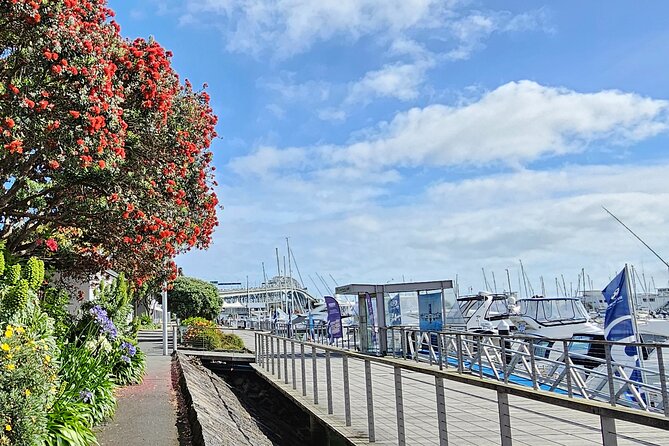 Auckland City Halfday Guide Tour - Auckland in 3.5 Hours: what this half-day really covers