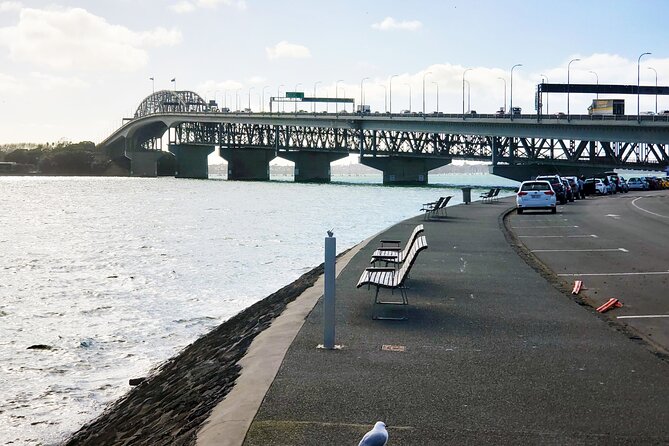 Auckland City Halfday Guide Tour - Mission Bay: sand, lawns, and a proper seaside breather