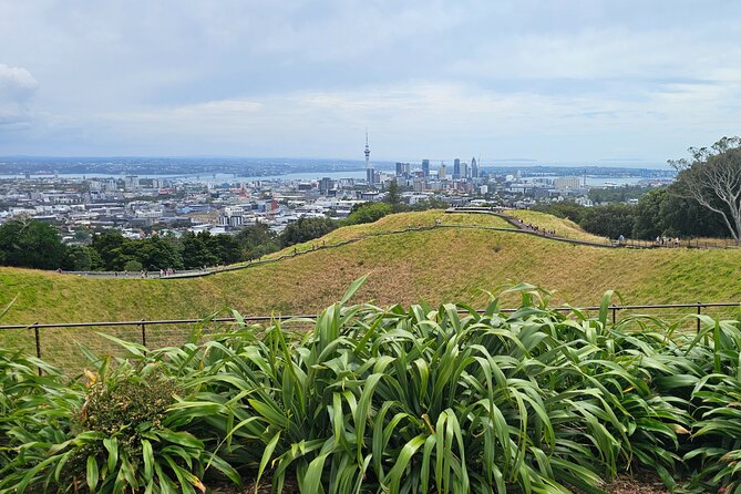 Auckland City Halfday Private Tour - Private guide perks: flexibility, real explanations, and helpful timing