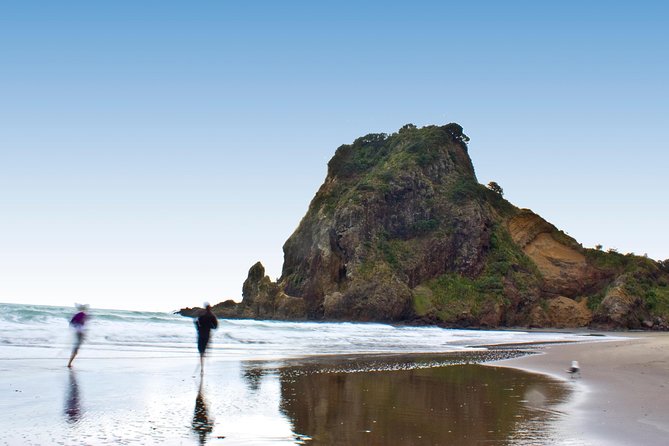 Auckland City Highlights, Afternoon Piha Beach & Rainforest Tour - Timing, Pickup, and the Small-Group Advantage