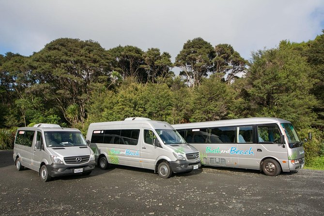 Auckland City Highlights, Afternoon Piha Beach & Rainforest Tour - Narrow Neck Beach to Westhaven Marina: White Sand, Yachting, and Contrast