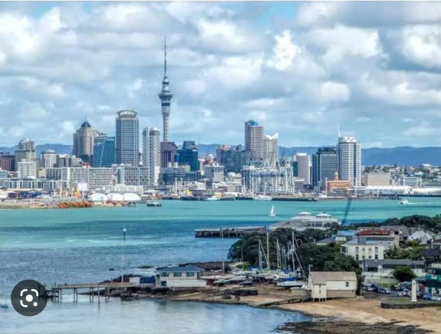 Auckland City Highlights Half Day Tour - A half-day Auckland overview that’s built for real timing