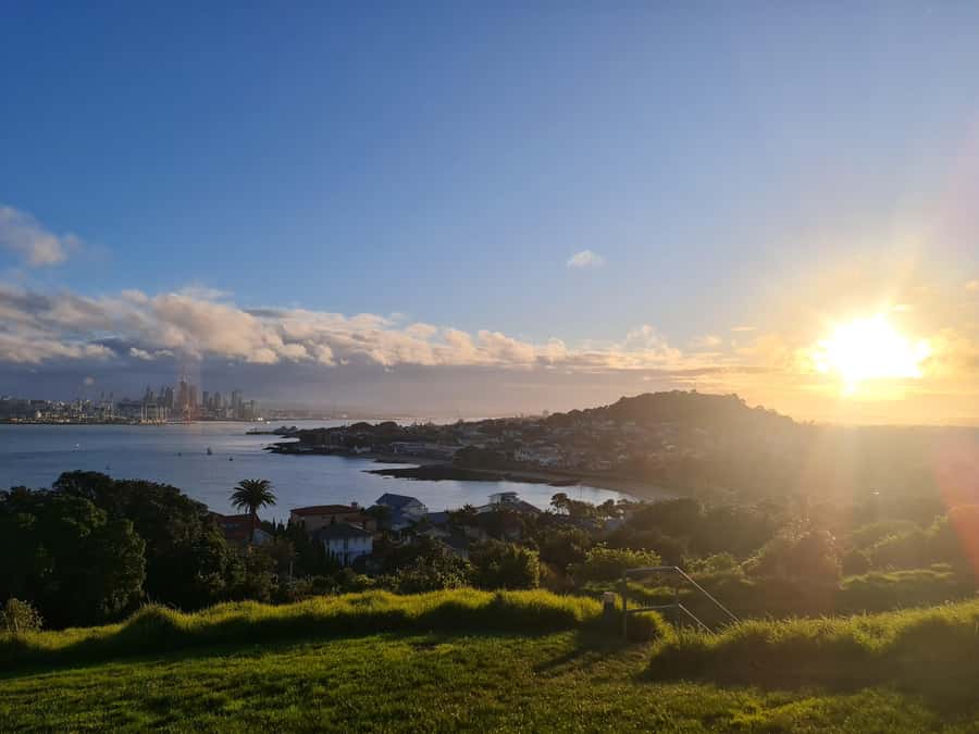 Auckland City Highlights Half Day Tour - North Head or Kaori Tree Forest: coastal views with a seasonal twist