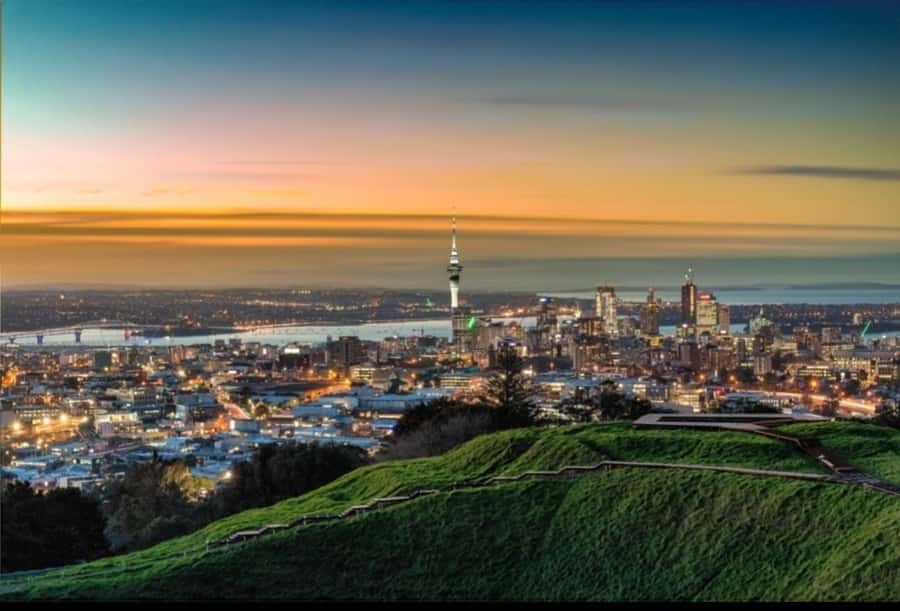 Auckland City Highlights Half Day Tour - Harbour Bridge: the easy win for orientation