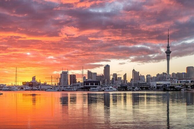 Auckland City Highlights Private Tour - Parnell and Newmarket: finishing with shopping streets and city energy