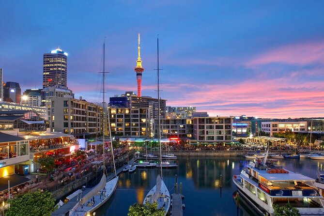 Auckland City Hotel to Cruise Ship Transfer by SUV - The Ride Itself: Comfort, Clean Vehicles, and Auckland Traffic