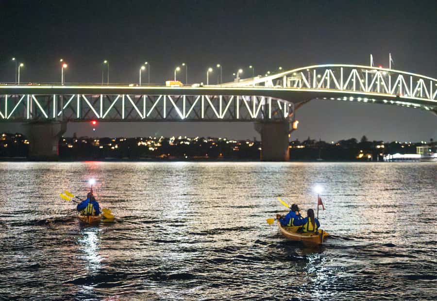 Auckland: City Lights Night Kayak Tour - Key Highlights You’ll Actually Care About