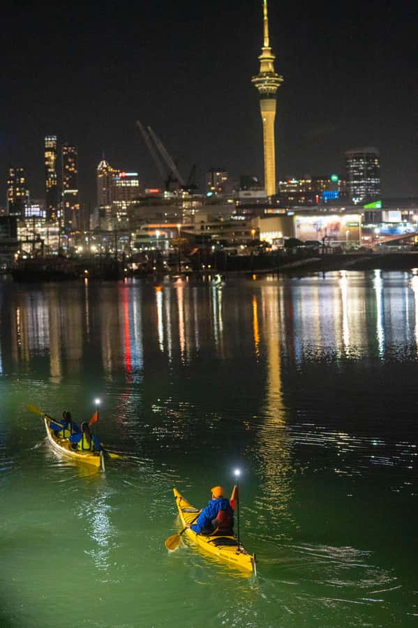 Auckland: City Lights Night Kayak Tour - Why Night Kayaking in Auckland Works So Well