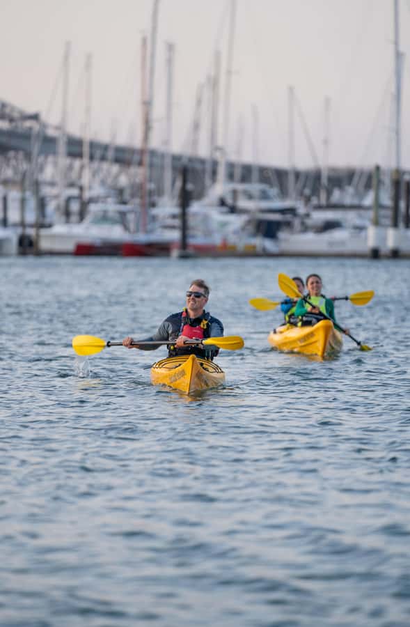 Auckland: City Lights Night Kayak Tour - Sky Tower Glow and Waterfront Stops: Viaduct, Jellicoe, or North Wharf