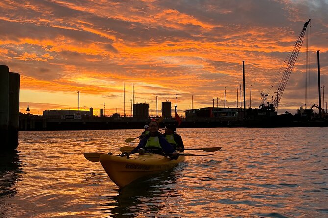 Auckland City Lights Night Kayaking Tour - Wynyard Quarter at night: water-level city energy