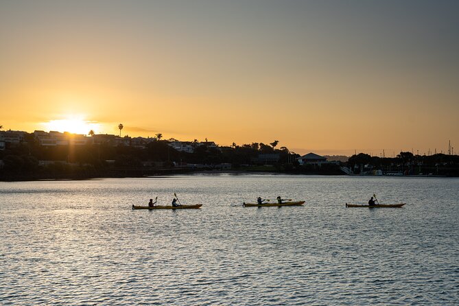 Auckland City Lights Night Kayaking Tour - Getting to St Mary’s Bay and meeting your small crew