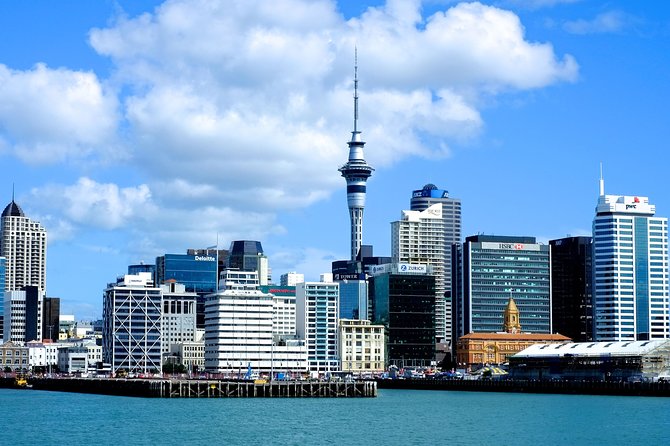 Auckland City & Native Forest Experience - Fully Guided Day Tour - Key highlights worth knowing before you go