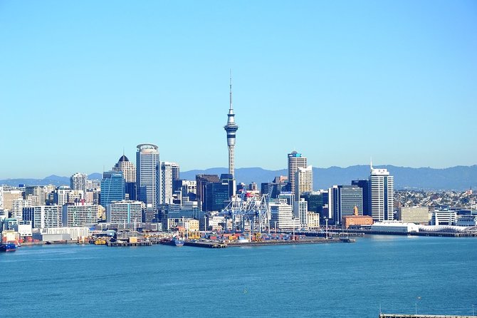 Auckland City & Native Forest Experience - Fully Guided Day Tour - City highlights, native forest, and Piha in one tidy circuit
