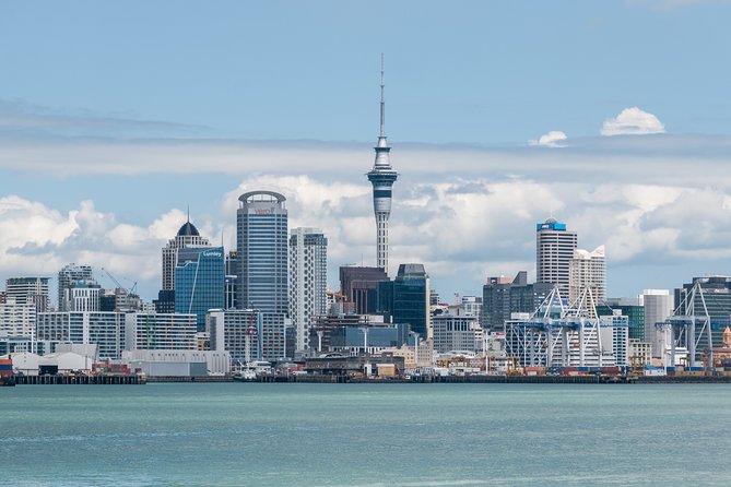 Auckland City & Native Forest Experience - Fully Guided Day Tour - Price and what $232.71 buys you (and what it doesn’t)