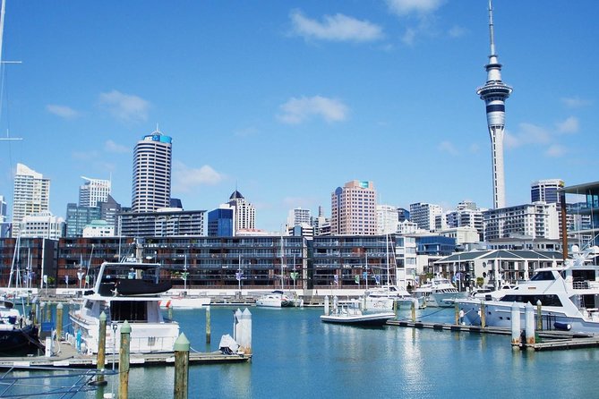 Auckland City Private Tour for Couples. Be chauffeur driven with added extras. - Auckland Museum Through the Auckland Domain and Winter Gardens