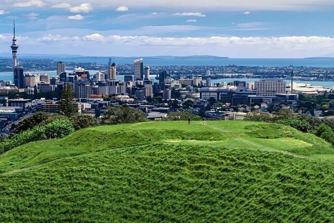 Auckland City Private Tour for Couples. Be chauffeur driven with added extras. - Westhaven Marina and the Harbour Bridge Drive-By Moment