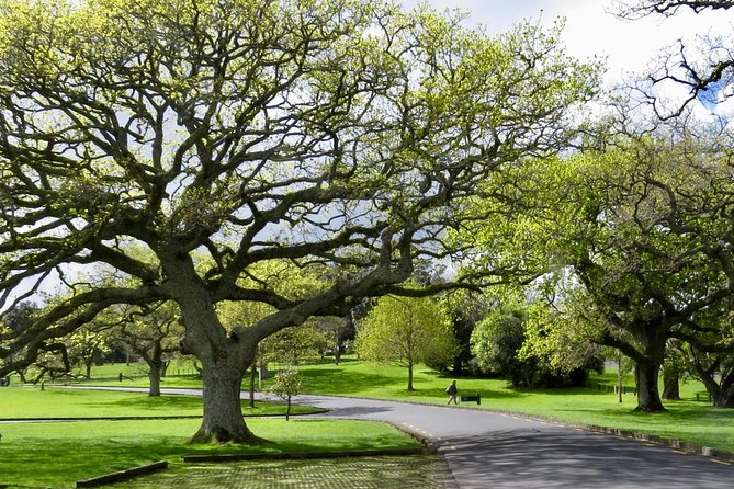 Auckland City Private Tour for Couples. Be chauffeur driven with added extras. - Little Shoal Bay Reserve: The Quick View That Feels Like a Detour