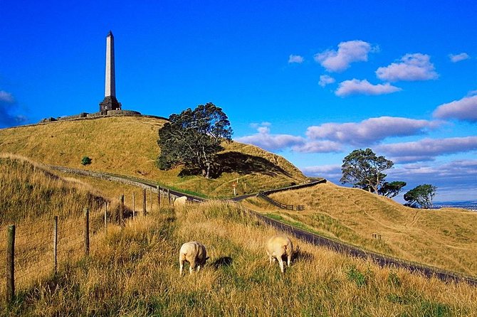 Auckland City Private Tour for Couples. Be chauffeur driven with added extras. - Door-to-Door Pickup That Lets You Relax Immediately