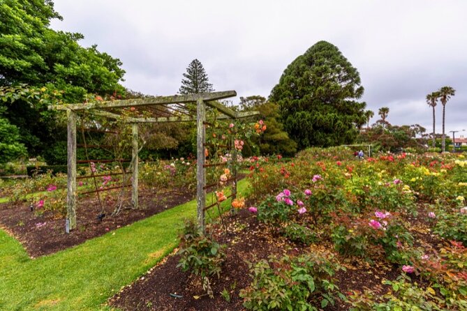 Auckland City Self Guided Walking Tour with an APP - Wairau Creek Pedestrian Bridge: a working harbour view