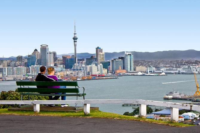 Auckland City Small-Group Morning Discovery Tour - Meeting point and pickup: saving you time (and energy)