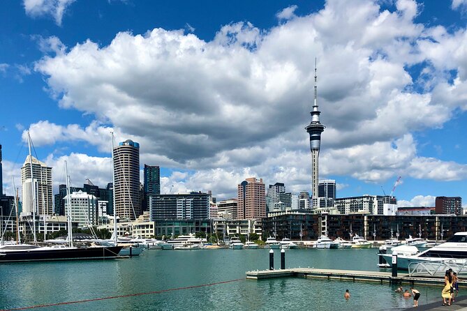 Auckland City Top Sights Half Day Tour - Small Group - Why This Half-Day Tour Works in 4 Hours