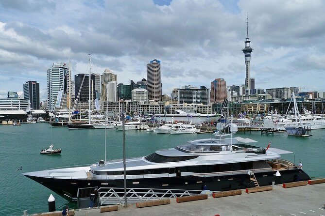 Auckland City Top Sights Half Day Tour - Small Group - Mount Eden / Maungawhau: A Dormant Volcano Moment