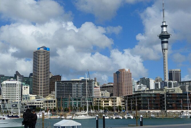Auckland City Top Sights Half Day Tour - Small Group - Winter Garden Auckland Domain: A Green Reset for Your Brain