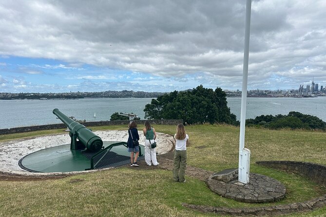 Auckland City Top Sights Half Day Tour - Small Group - Price and Value at $99.29 per Person