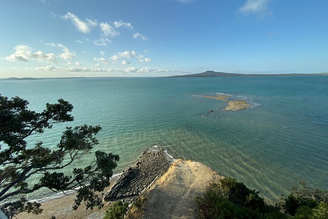 Auckland Coastal Experience - Small Group City & Beach Tour Incl. Wine Tasting - Pickup and Timing: Why the Morning Start Helps
