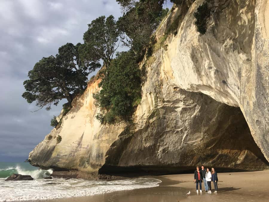 Auckland: Coromandel Day Tour including Hot Water Beach - Driving Creek Railway: the fun part people talk about for a reason