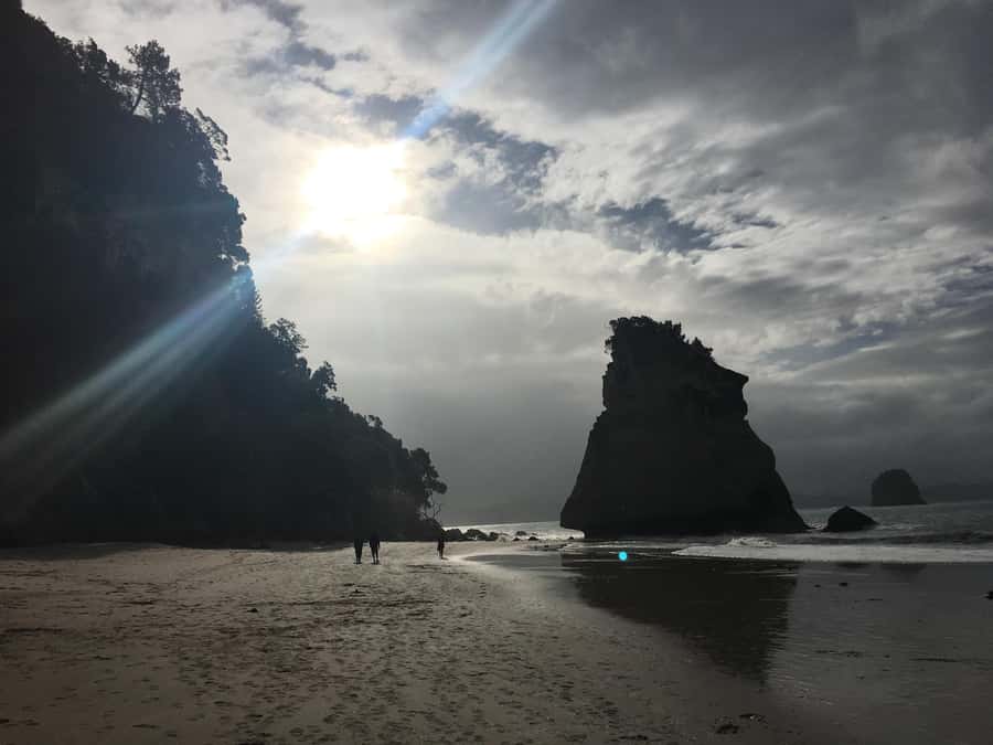 Auckland: Coromandel Day Tour including Hot Water Beach - How the 12-hour pace actually feels (and why it can be great)