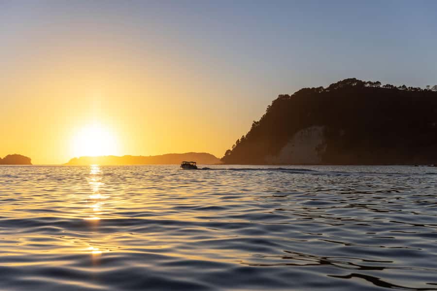 Auckland: Coromandel Driving Creek & Cathedral Cove Day Tour - Price and value: what you’re really paying for